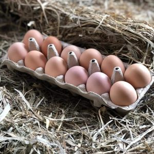 Oeufs boite de 15